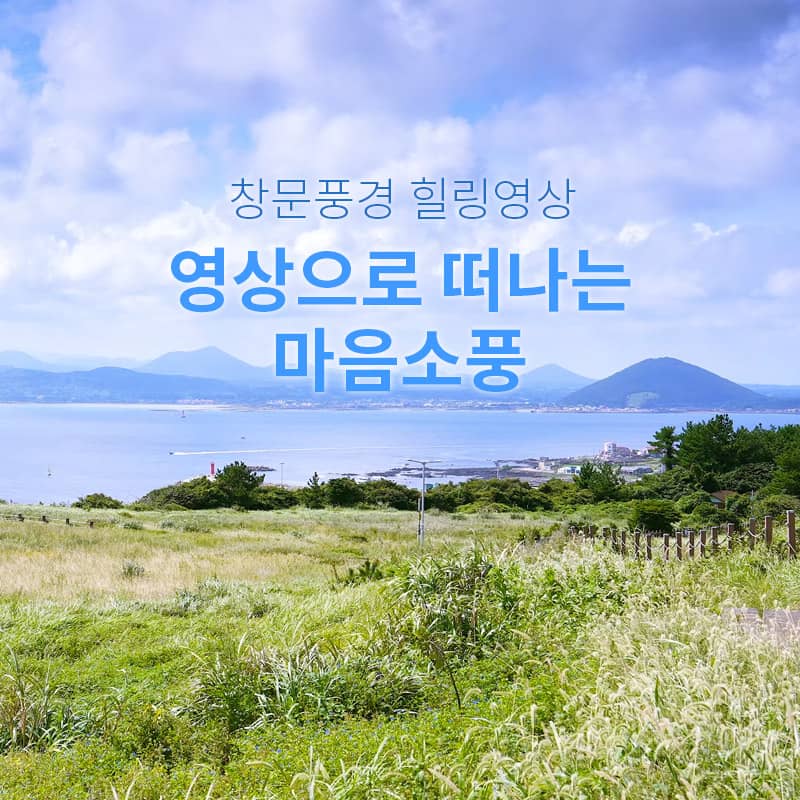 영상으로 떠나는 마음소풍 - 자연을 담은 창문풍경 힐링영상